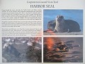 Carpinteria California 2010-02 0831